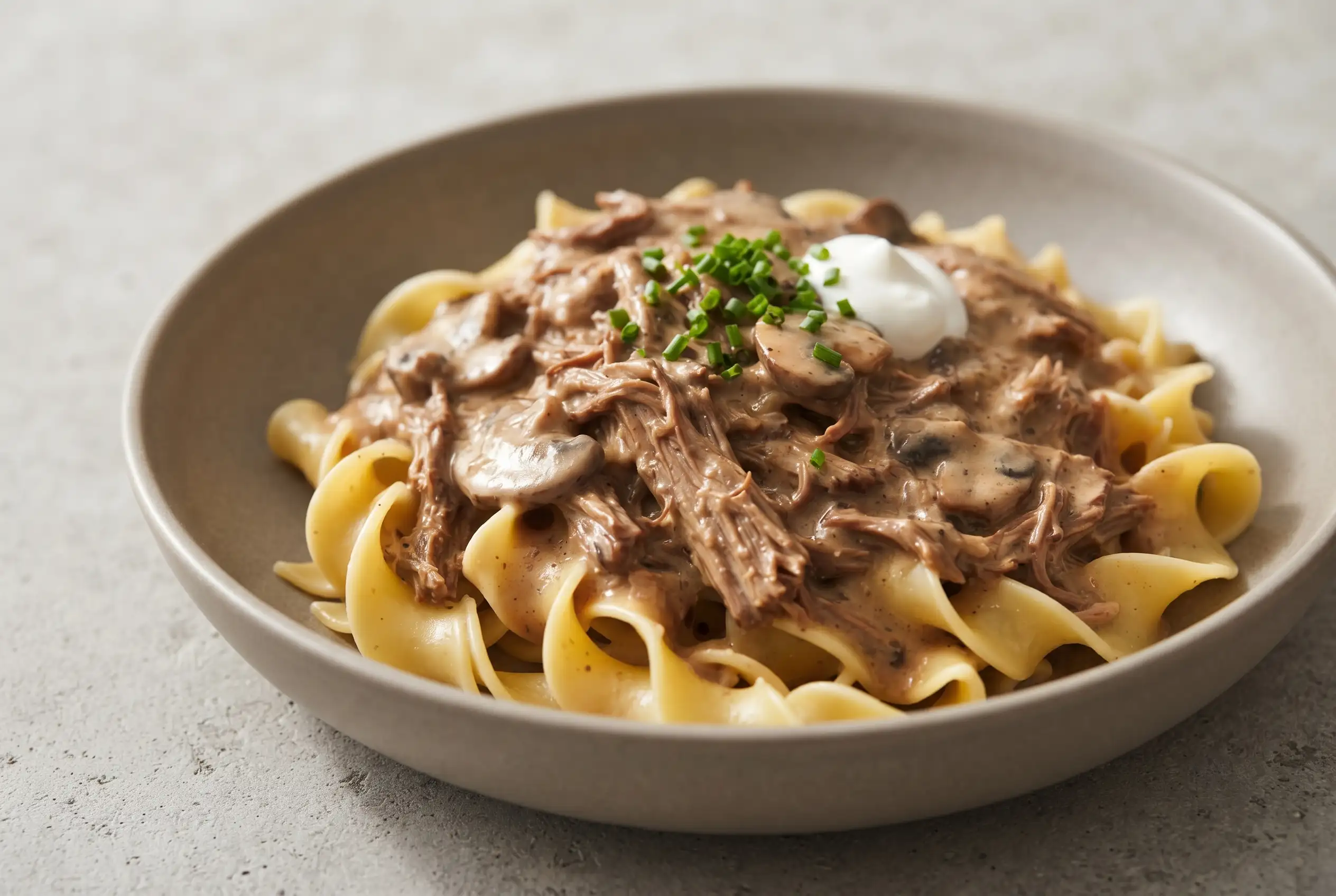 Beef stroganoff with creamy mushroom gravy, shredded chuck roast, and egg noodles in a bowl