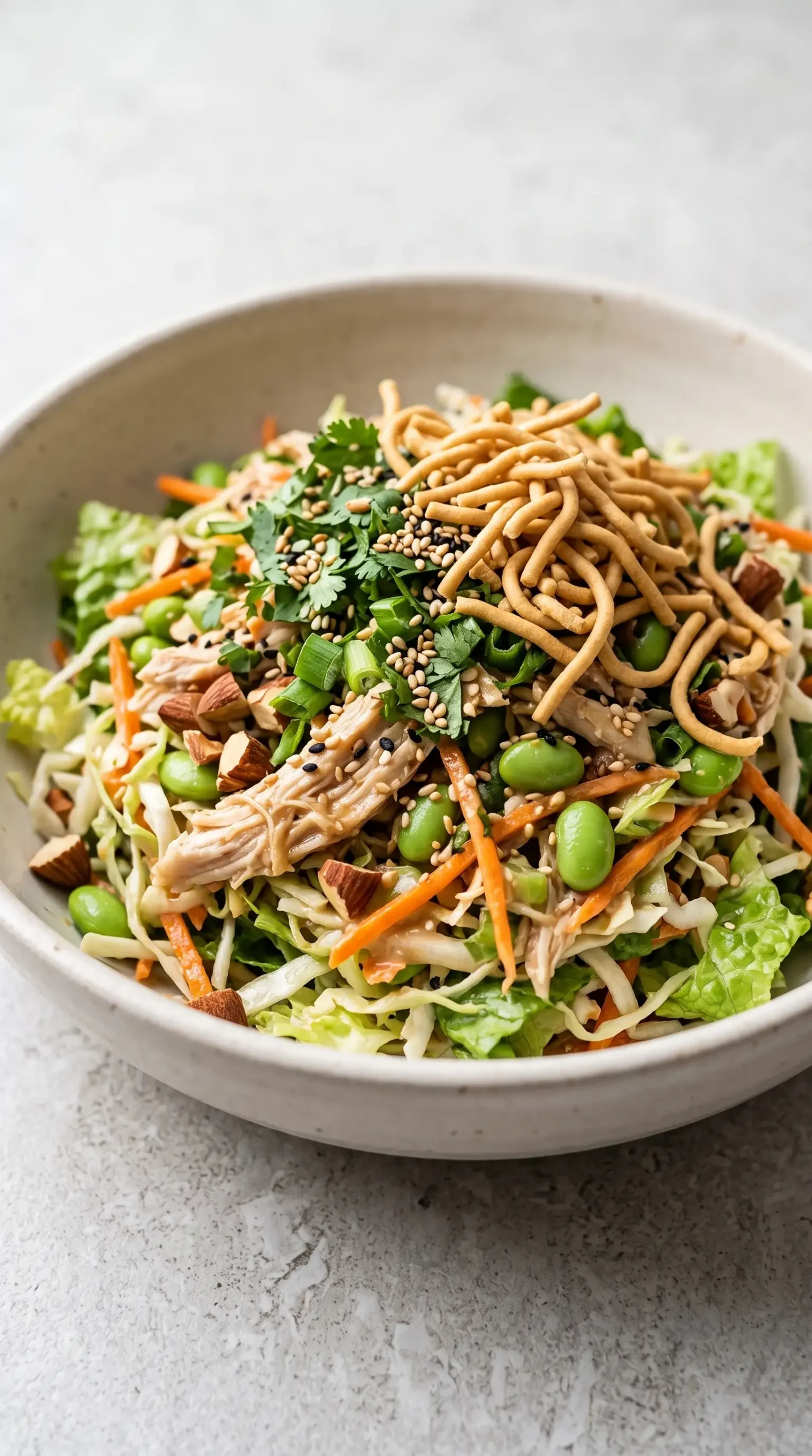 Finished Asian chicken salad with shredded chicken, edamame, almonds, vegetables, and crunchy toppings